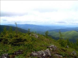 Повсеместно на территории заповедника об