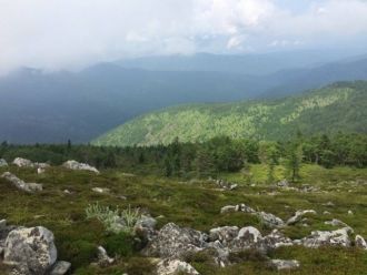 У северной границы на высоких склонах пр