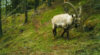 Вся территория заповедника дренируется 4