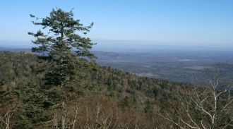 Заповедник расположен на окраине переход