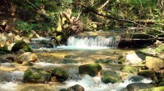 Таким образом, особенность заповедной те