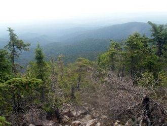 С запада, по лиственичникам и марям прон