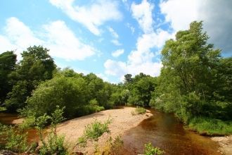 Отмечены редкие виды, занесенные в Красн