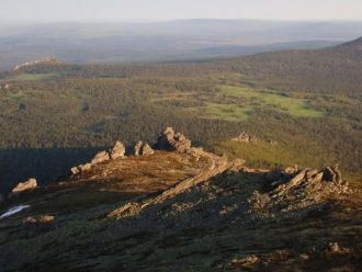 В послеледниковый период появились кизил