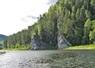 Высокотравные сообщества представляют бо