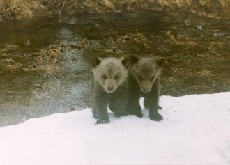 В настоящее время на формирование рельеф