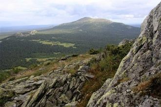 Часто встречаются участки, покрытые зеле