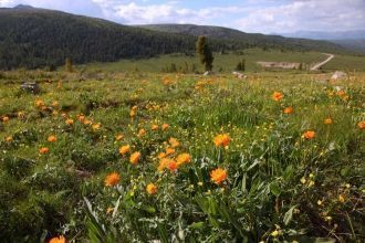 Заповедник Азас