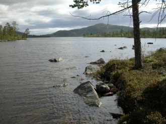 Озера занимают большую часть территории 