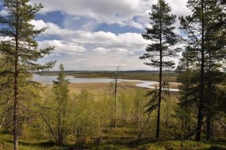 На этом участке заповедника есть небольш