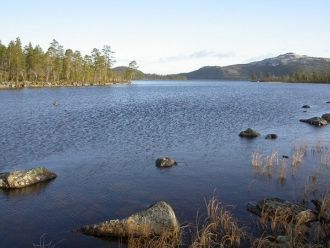 Гораздо позже здесь появились русские, н