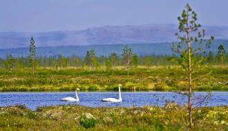 На некоторых участках археологи обнаружи
