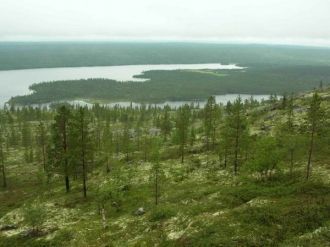 Заповедник 