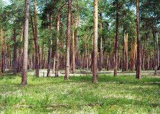 Трудно судить и о том, насколько заповед