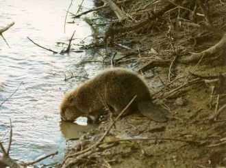 Заповедник расположен в долине реки Мала