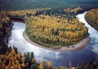 В пойме Малой Сосьвы много стариц, есть 