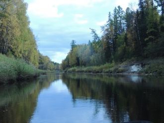 В зоогеографическом отношении фауна запо