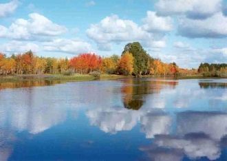 В то же время в фауне заповедника доволь