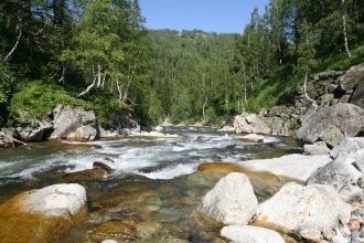 Общая его площадь в настоящее время – 41