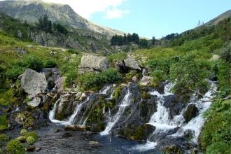 В отрогах Кузнецкого Алатау встречается 