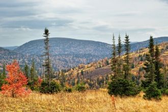 Климатические условия района до недавнег