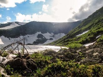 К редким видам птиц относится черный аис