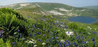 Уже после того, как заповедник “Кузнецки