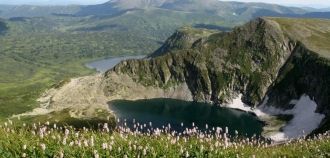 Широко представлены также красная и обык