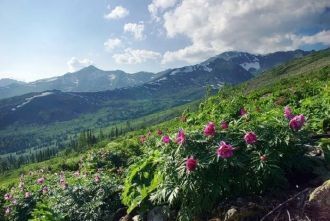 Горная система Кузнецкого Алатау занимае