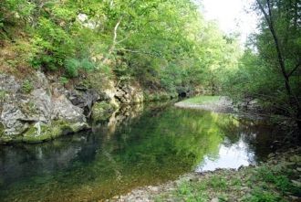 Заповедник Кедровая падь является эталон