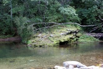 Основным типом растительности заповедник
