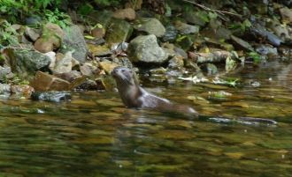 Заповедник Кедровая падь — один из самых