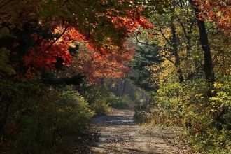 С юга заповедник ограничен р. Нарвой, а 