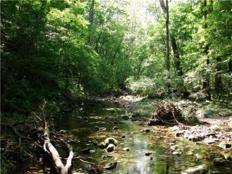 Наиболее распространенные в заповеднике 