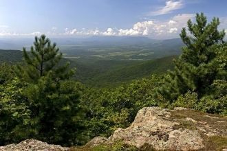 На месте великолепных сомкну­тых, тенист
