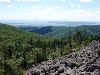 На территории заповедника Кедровая падь 
