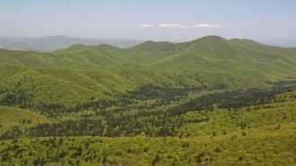 Наибольшее количество притоков, берущих 