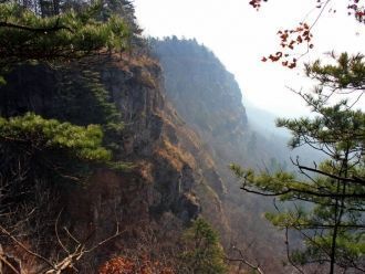 Основная река заповедника Кедровая падь 