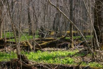 В наши дни мало где в России сохранились