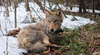 Относительная малолюдность здешних мест 