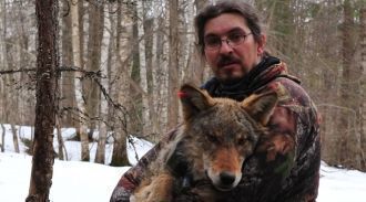 Ныне их практически не трогают, а числен