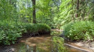 Почти половина площади заповедника входи