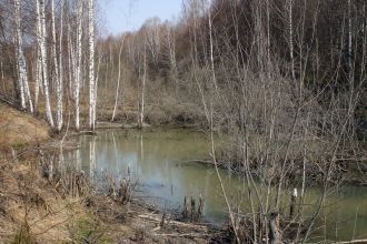 С начала XX века в «Калужских засеках» и