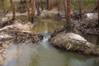 Лишь в XVI столетии, когда произошла око
