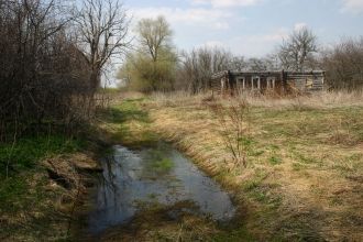 В заповеднике хорошо живется живородящей
