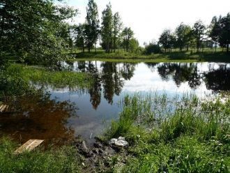 Более 500 лет удельные князья и местные 