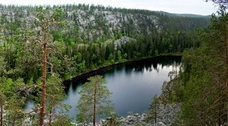 По мере спада уровня воды озера заняли с