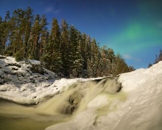 На болотах, находящихся в низинах господ