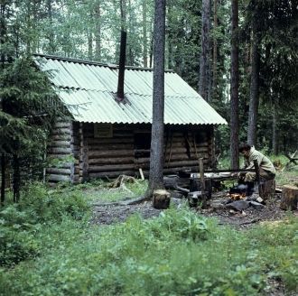 Флора заповедника включает 569 видов сос