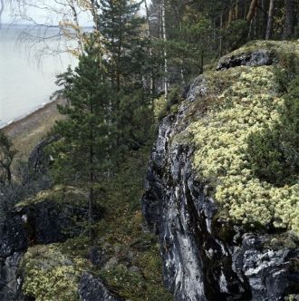 Центральная часть заповедника покрыта со